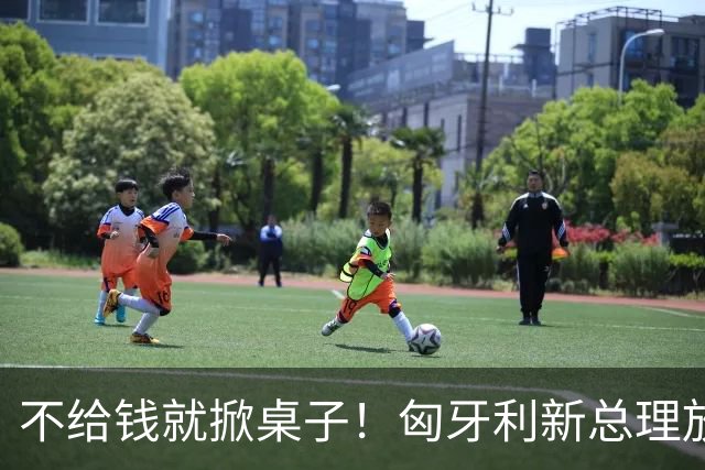 不给钱就掀桌子！匈牙利新总理放狠话：不给164亿就一票否决