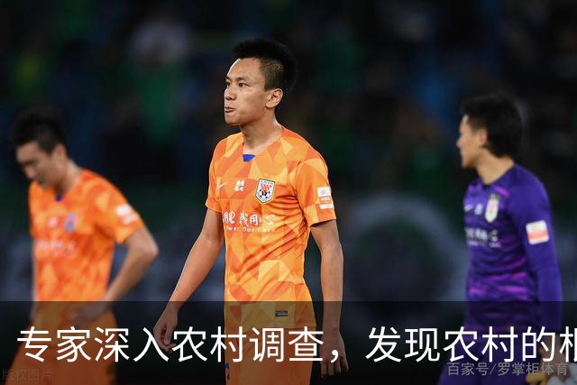 专家深入农村调查，发现农村的根本问题不是收入太低