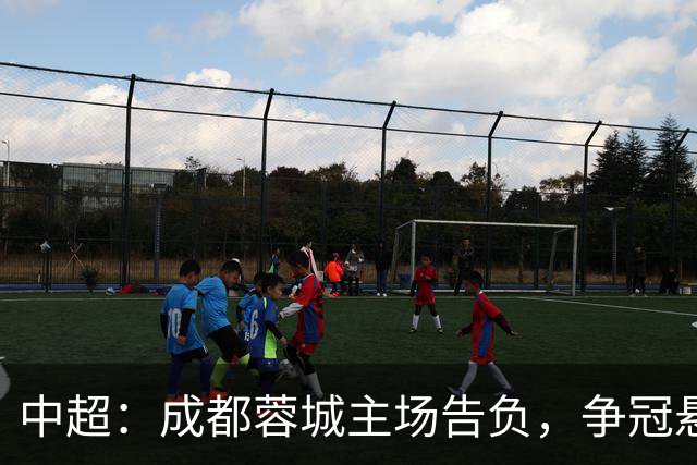 中超：成都蓉城主场告负，争冠悬念留到最后1轮，三镇随海牛降级