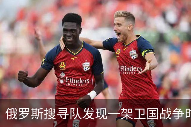 俄罗斯搜寻队发现一架卫国战争时期苏联飞机的残骸，发动机保存完好