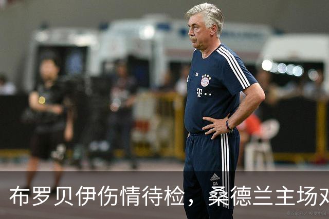 布罗贝伊伤情待检，桑德兰主场对利兹联或让他领衔锋线