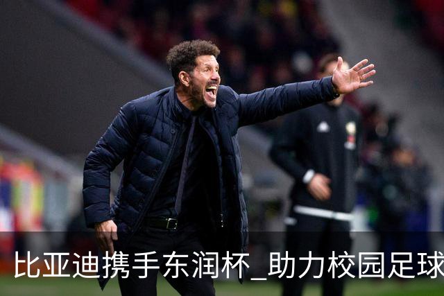 比亚迪携手东润杯 助力校园足球少年圆梦工体