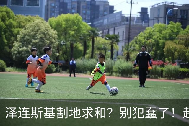 泽连斯基割地求和？别犯蠢了！超低空飞行撞电线杆，俄军可能损失了两架战斗机