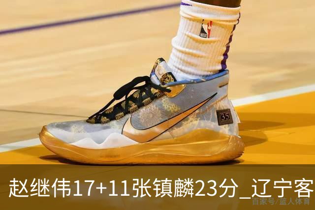 赵继伟17+11张镇麟23分 辽宁客胜广厦总分2-2