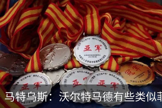马特乌斯：沃尔特马德有些类似菲尔克鲁格，他应该回德国足坛踢球